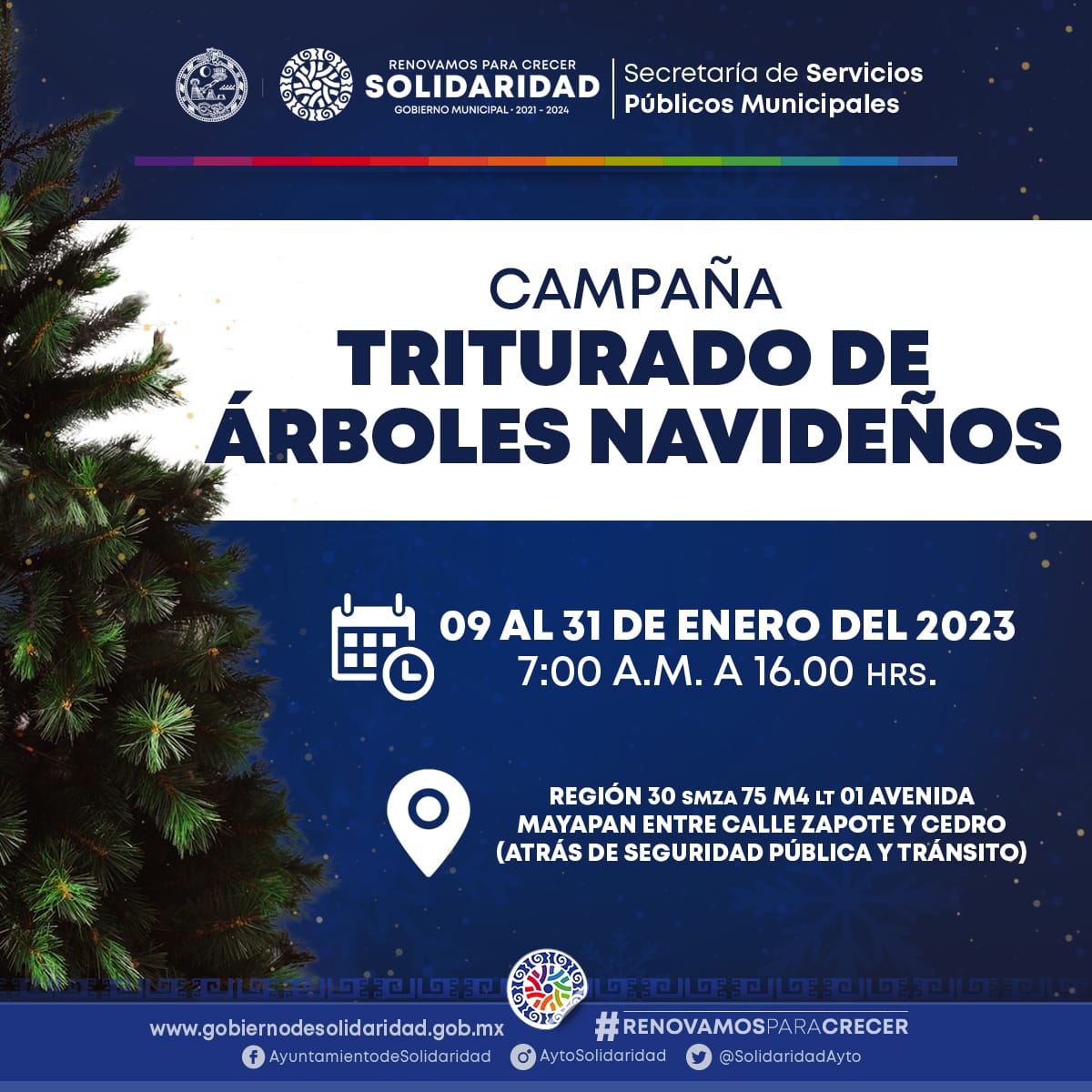 Gobierno abre centro de copio para árboles de navidad – H. Ayuntamiento de  Solidaridad